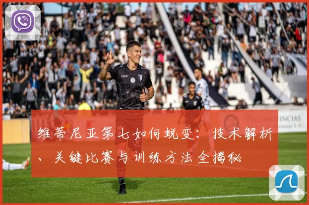 维蒂尼亚第七如何蜕变：技术解析、关键比赛与训练方法全揭秘