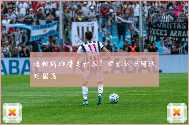 潘帕斯雄鹰是什么?带你认识阿根廷国鸟