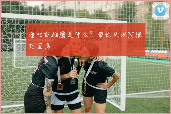 潘帕斯雄鹰是什么？带你认识阿根廷国鸟